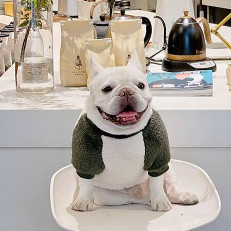 Dog Winter Warm Pullover Sweater with Pocket by Frenchiely