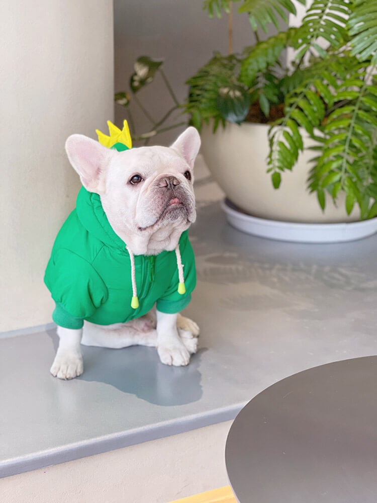 Dog Dinosaur Hooded Coat