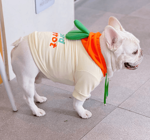 Dog Halloween Cartoon Carrot Costume Hoodies for small medium dogs by Frenchiely 01