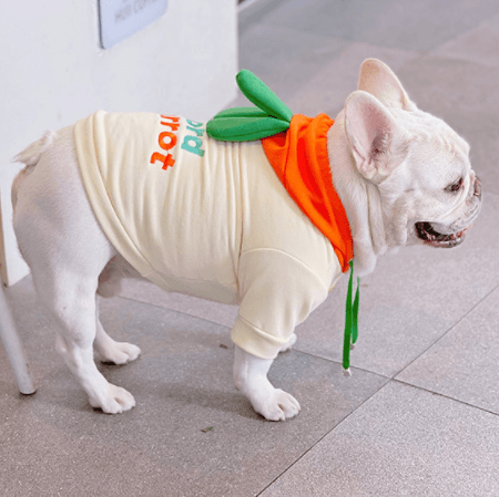 Carrot Hoodie Costume DogfunnycarrothalloweencostumehoodieforsmallmediumdogsbyFrenchiely01_10