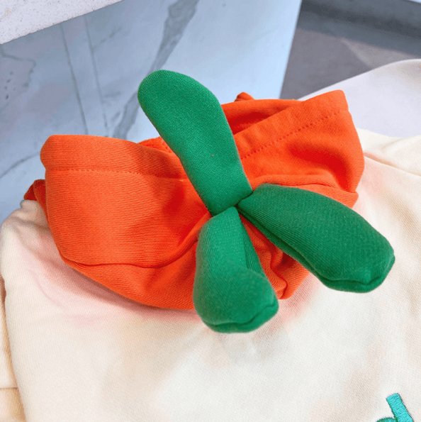 Dog Halloween Cartoon Carrot Costume Hoodies for small medium dogs by Frenchiely 01