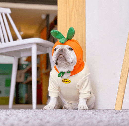 Dog Halloween Cartoon Carrot Costume Hoodies for small medium dogs by Frenchiely 01