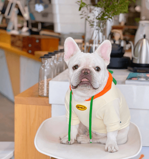 Dog Halloween Cartoon Carrot Costume Hoodies for small medium dogs by Frenchiely 01