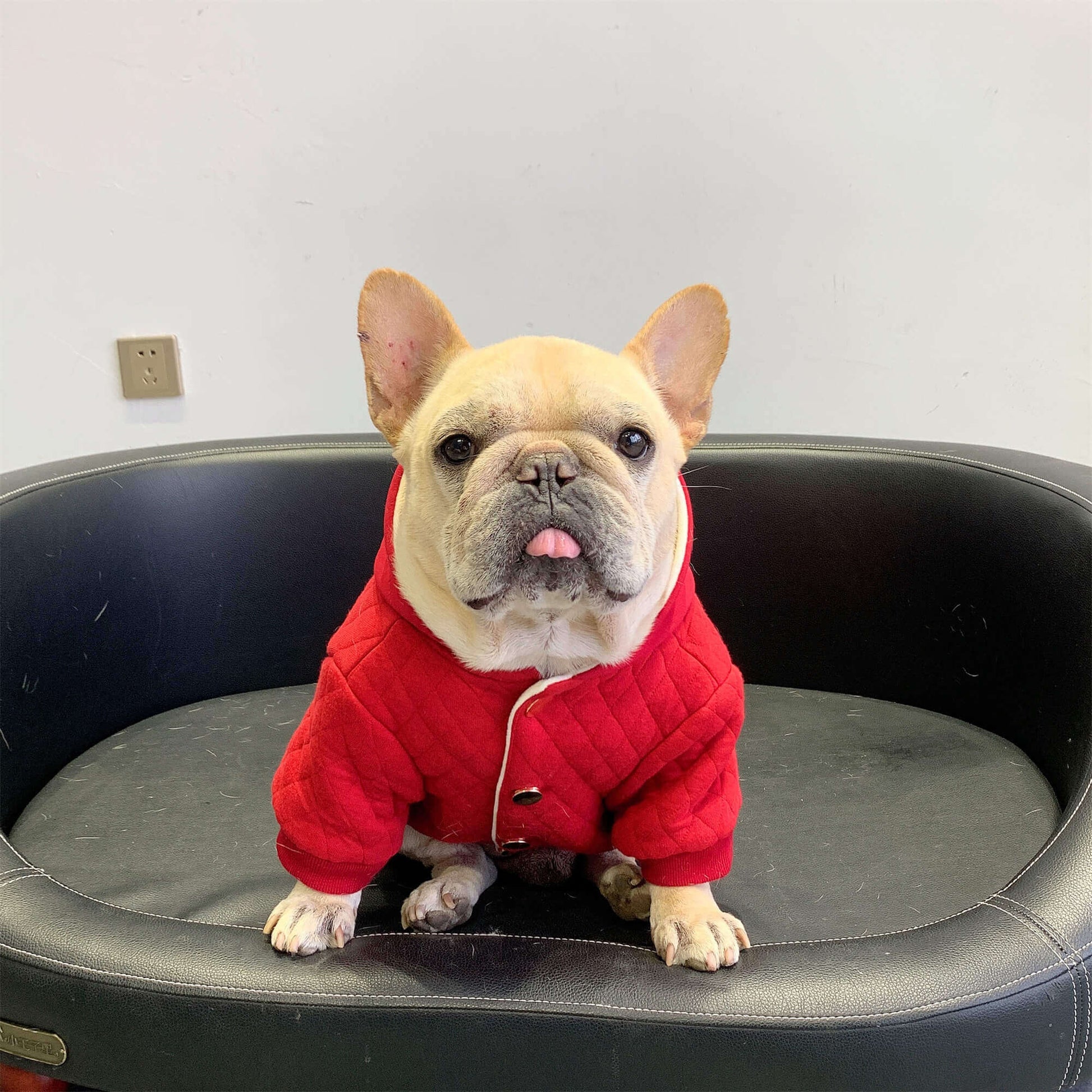 dog winter warm hooded coat for medium large dogs by Frenchiely