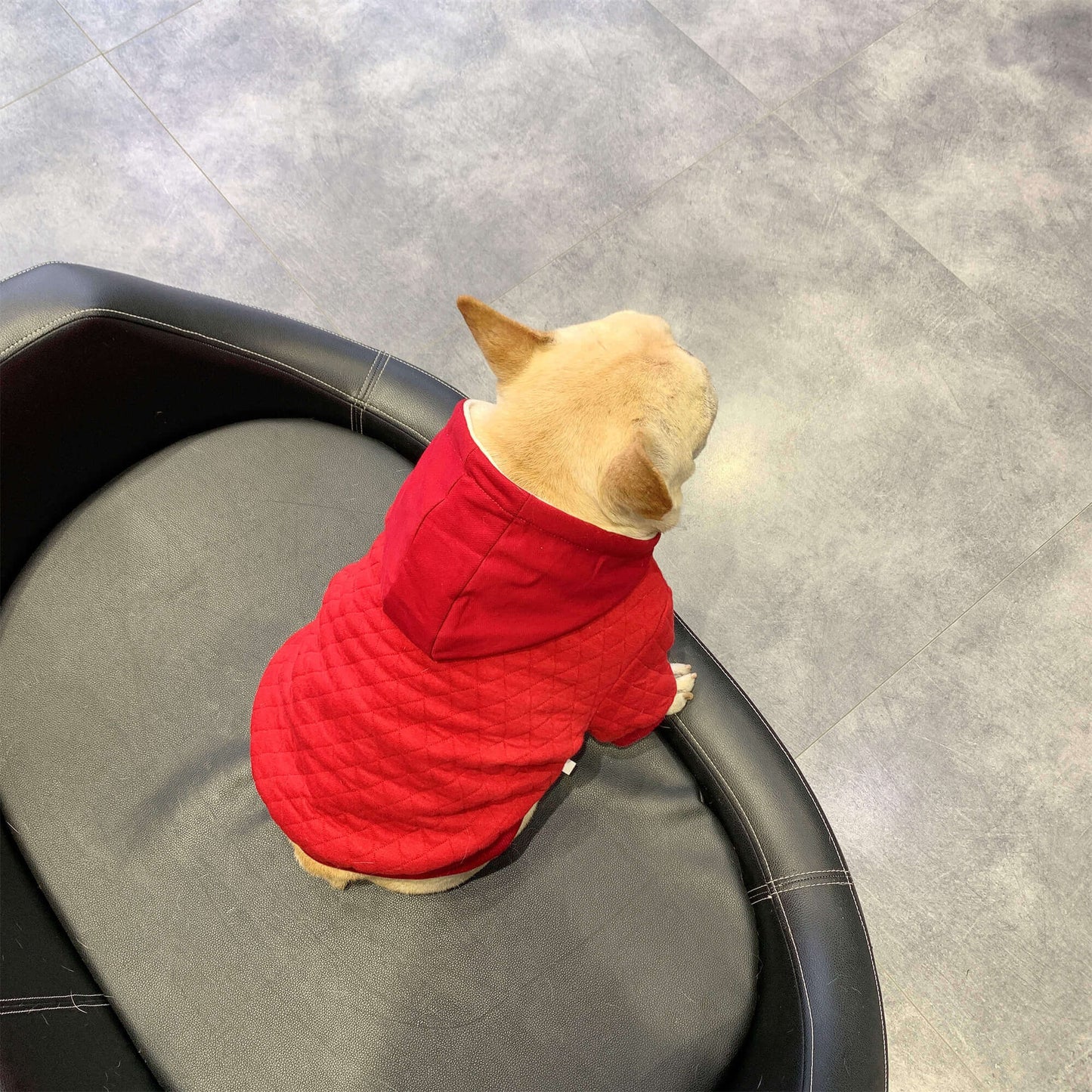 dog winter warm hooded coat for medium large dogs by Frenchiely