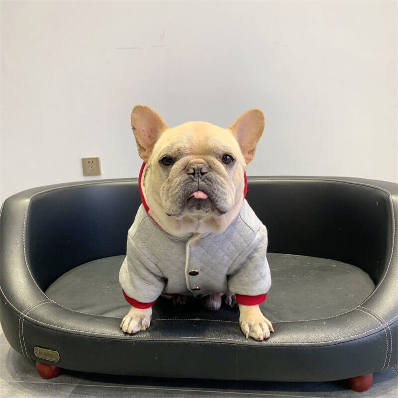 dog winter warm hooded coat for medium large dogs by Frenchiely