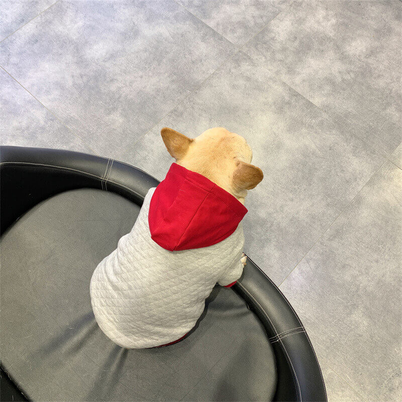 dog winter warm hooded coat for medium large dogs by Frenchiely