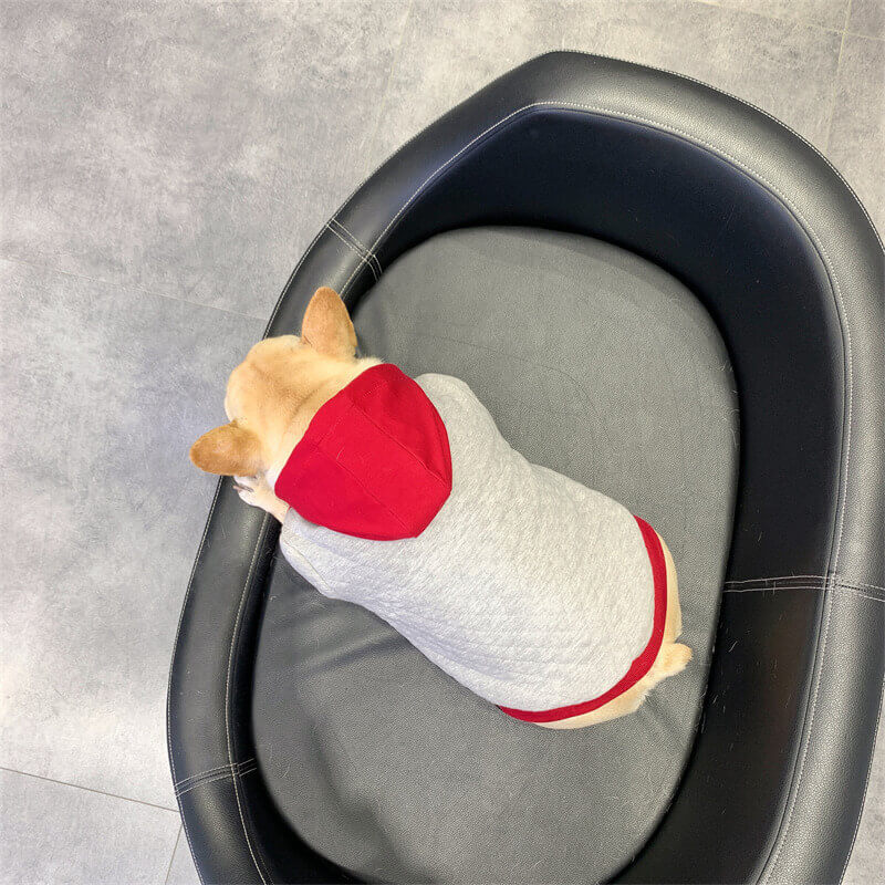 dog winter warm hooded coat for medium large dogs by Frenchiely