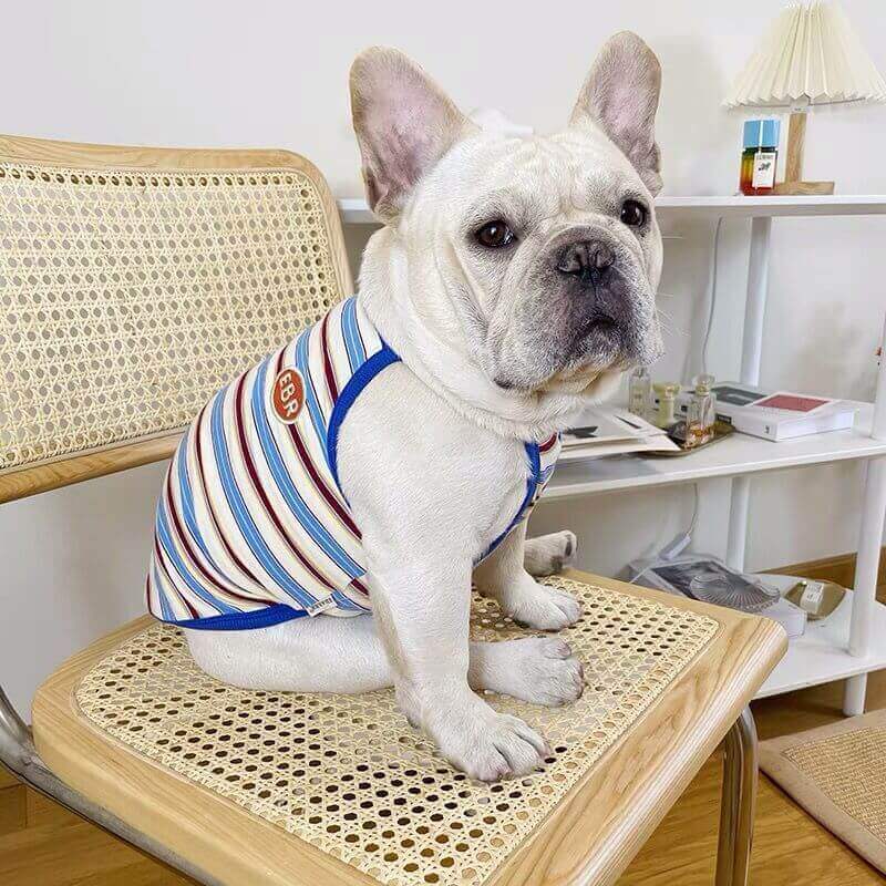 Dog Striped Cotton Shirt for Bulldogs BY FRENCHIELY