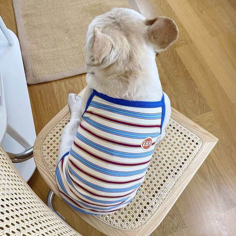 Dog Striped Cotton Shirt for Bulldogs BY FRENCHIELY