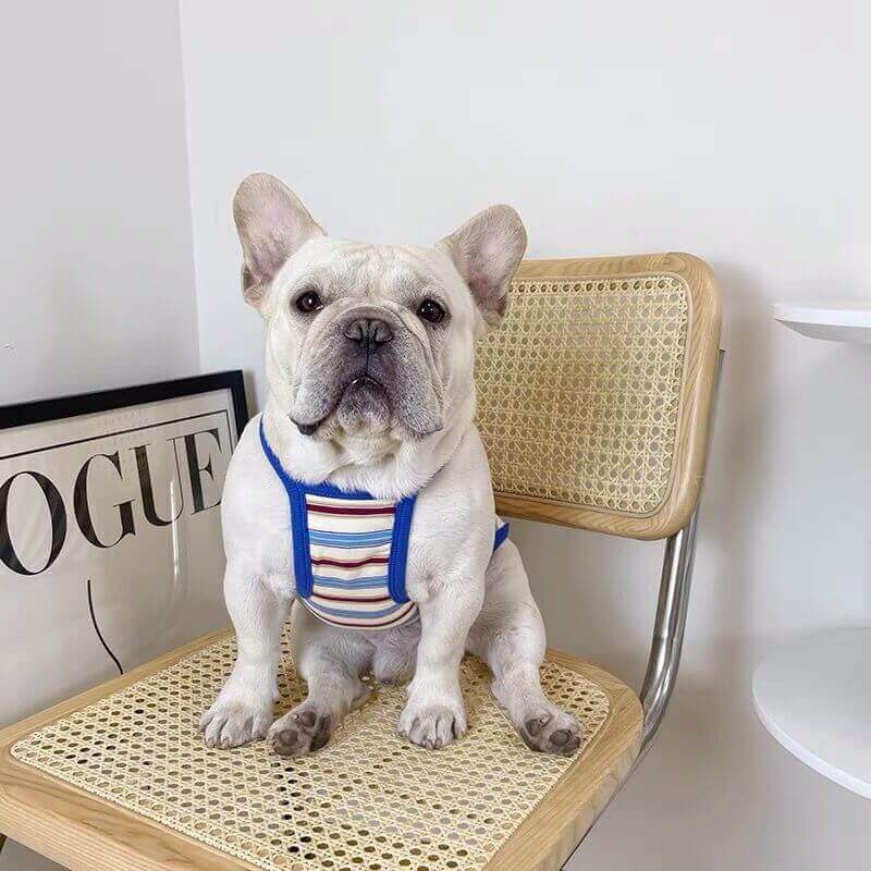 Dog Striped Cotton Shirt for Bulldogs BY FRENCHIELY