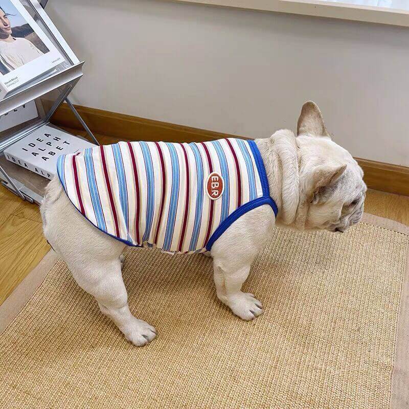 Dog Striped Cotton Shirt for Bulldogs BY FRENCHIELY