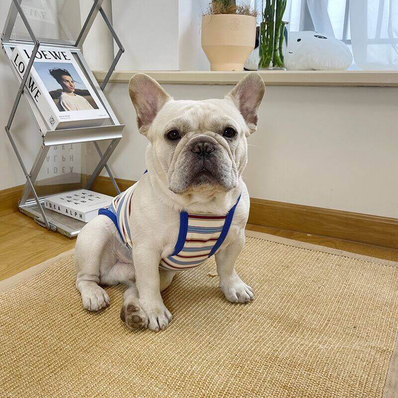 Dog Striped Cotton Shirt for Bulldogs BY FRENCHIELY