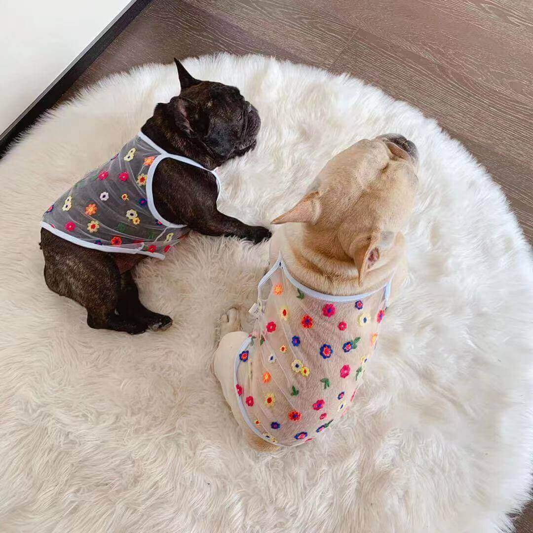 Orange Floral Shirt DogsummerfloralsunscreenshirtsforfrenchbulldogsbyFrenchiely025