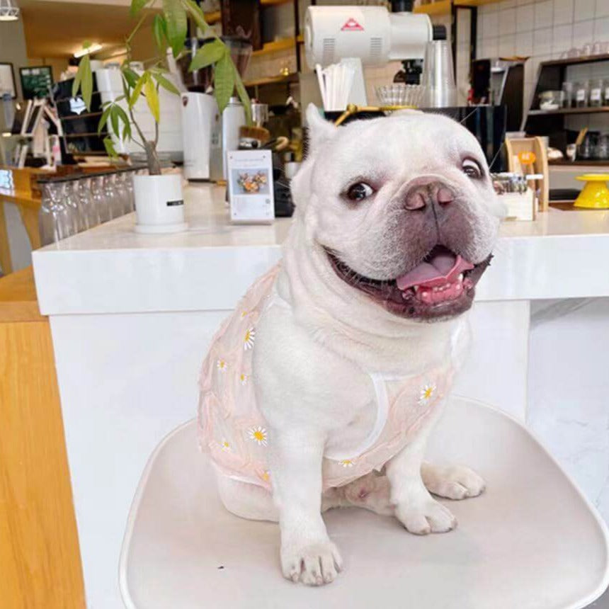 Dog 3D Floral Sunscreen Daisy Shirt by Frenchiely