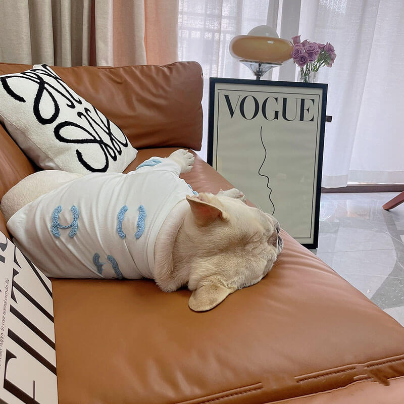 Dog White with Blue Super Warm Sweater for small medium dogs by Frenchiely