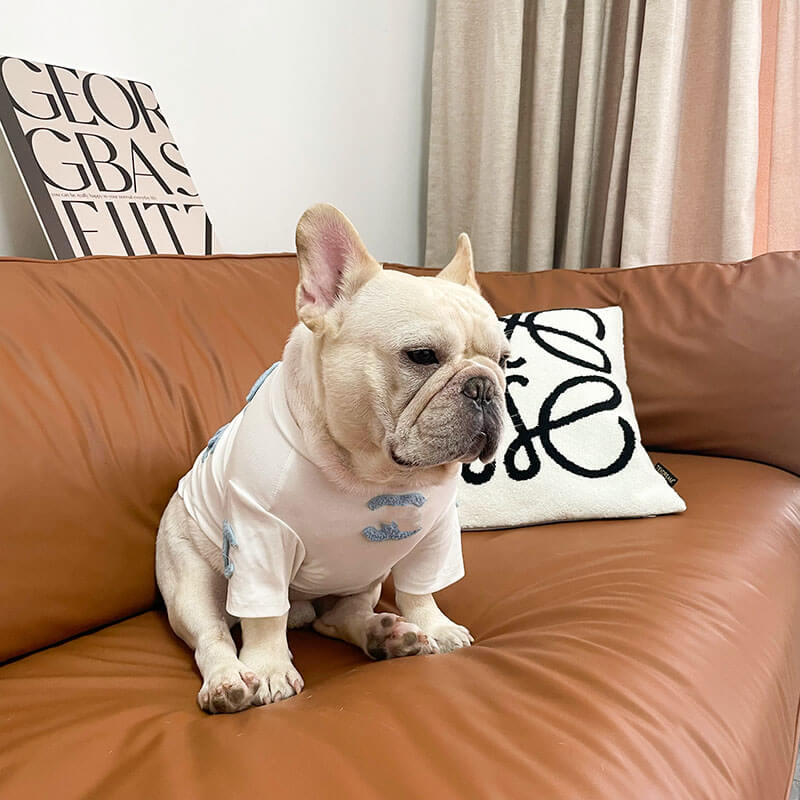 Dog White with Blue Super Warm Sweater for small medium dogs by Frenchiely