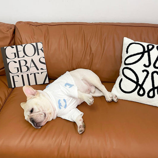 French bulldog winter clothes sweater