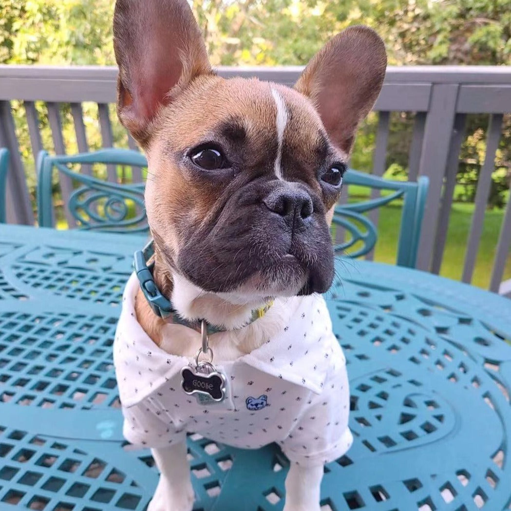 French Bulldog Logo Shirt Brand Brand Name Dog Clothes Frenchiely