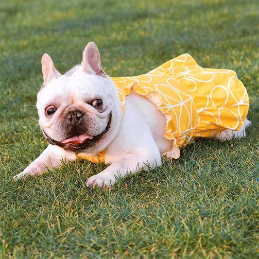French Bulldog Summer Dress - Frenchiely