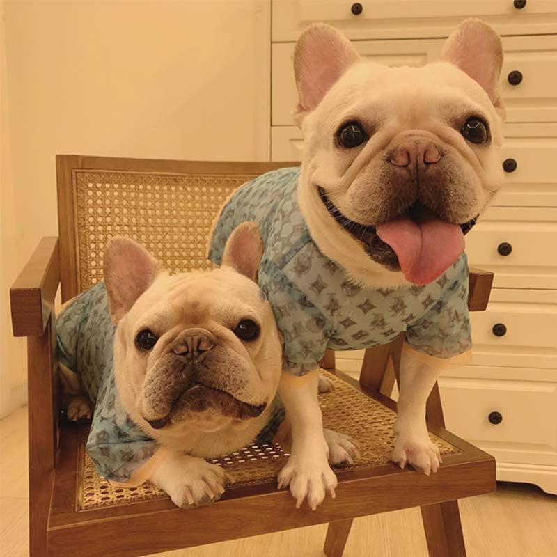 Dog Summer Sun Gear - Frenchiely