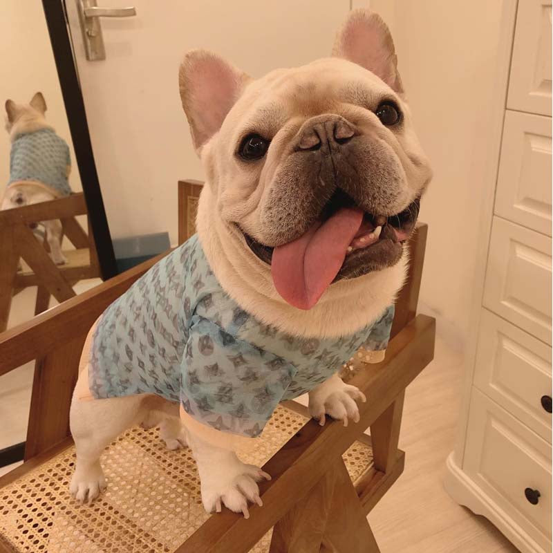 Dog Summer Sun Gear - Frenchiely