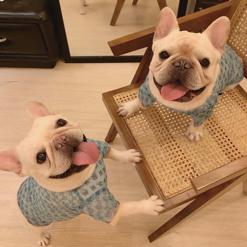 Dog Summer Sun Gear - Frenchiely