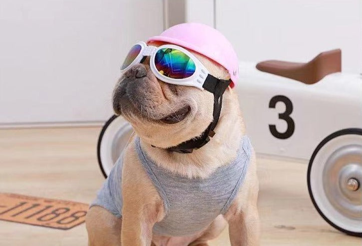 French Bulldog Sunglasses Dog Snow Goggles by Frenchiely 0