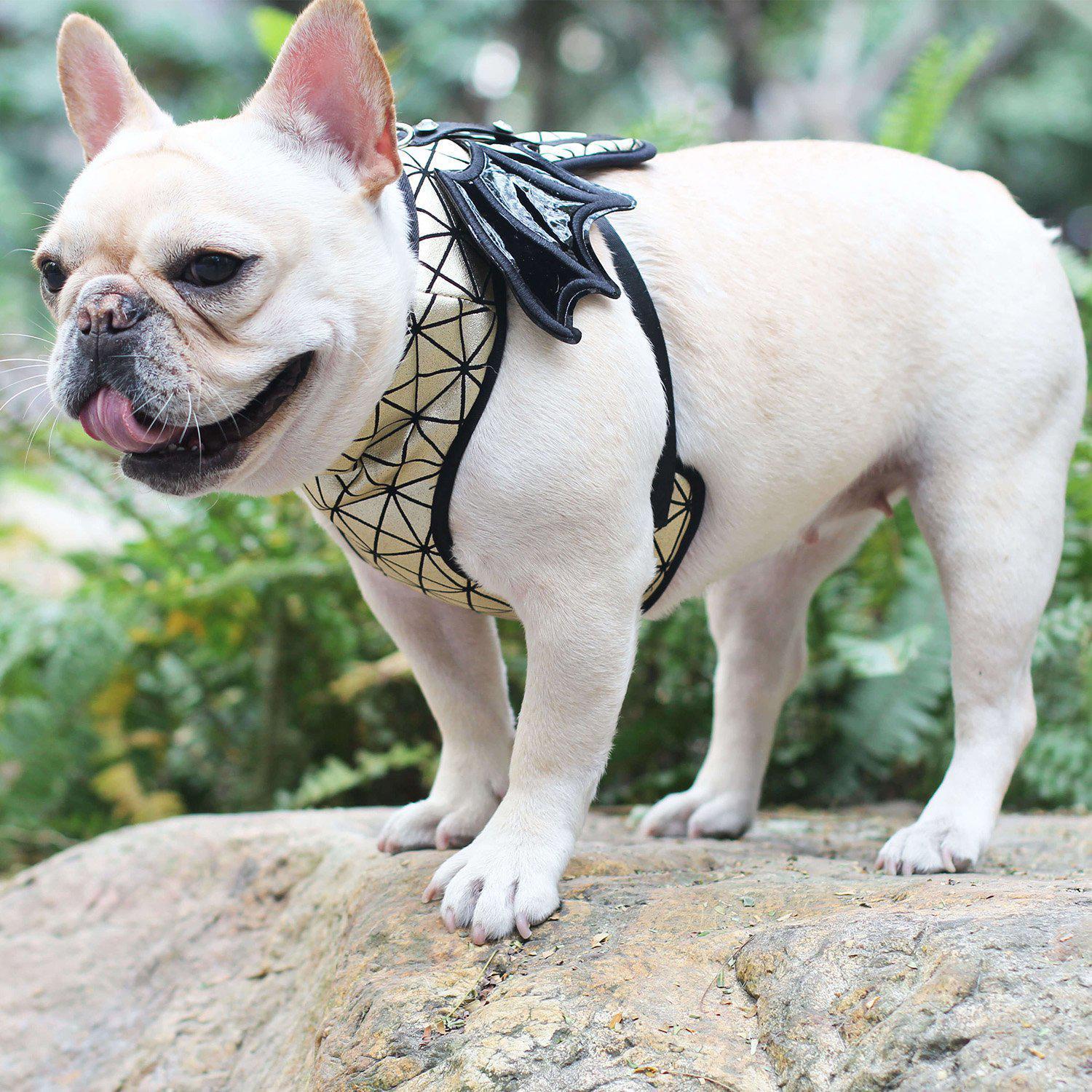 batman dog harness for french bulldogs