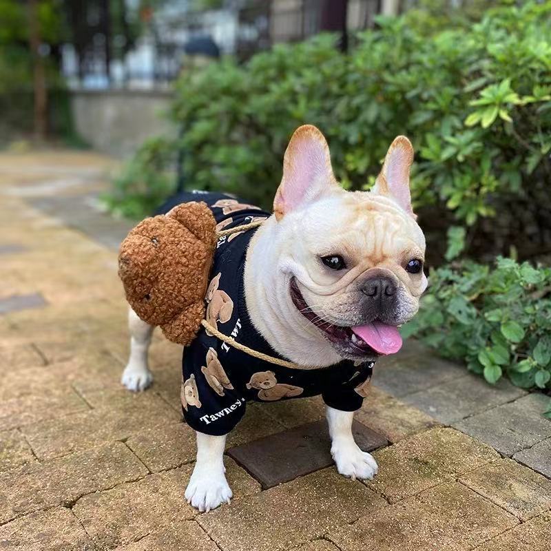 Dog Cartoon Bear Sweater with Bear Bag- Frenchiely