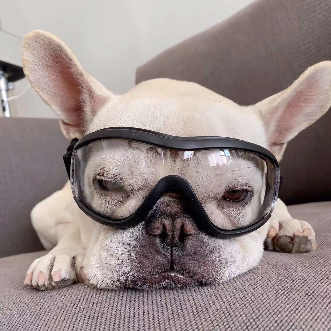 goggles for dogs Dog Goggles Sunglasses for Flat Face Dogs