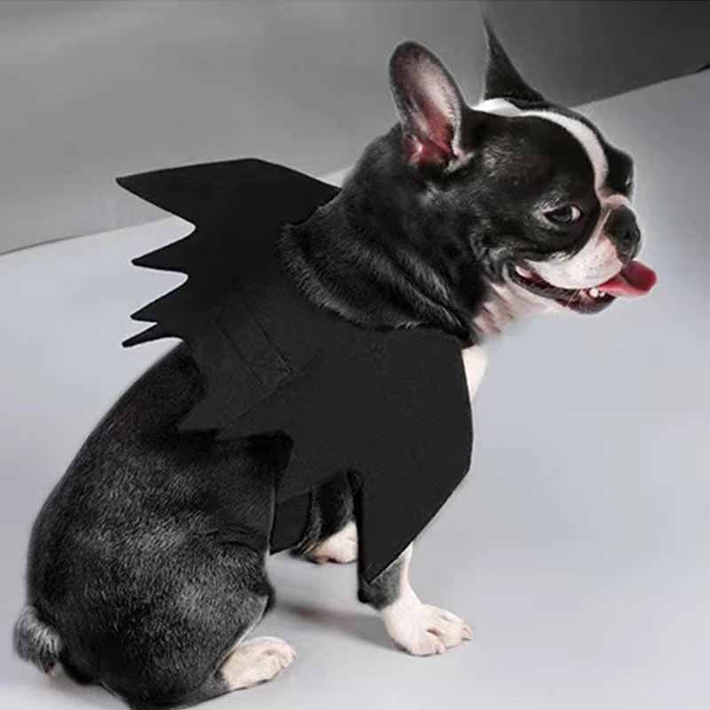 French Bulldog Bat Halloween Costume - Frenchiely
