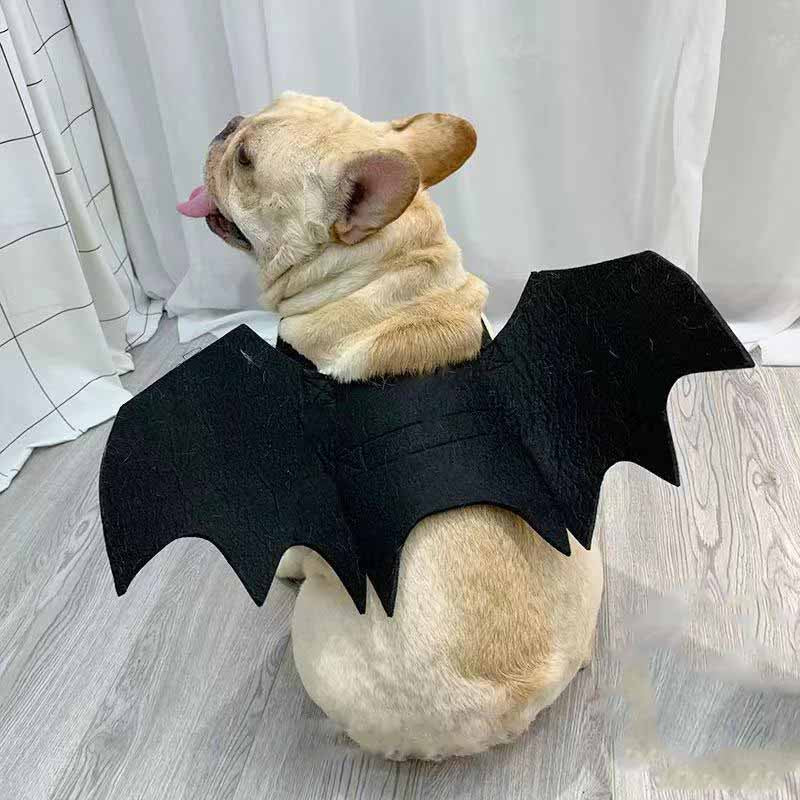 French Bulldog Bat Halloween Costume - Frenchiely