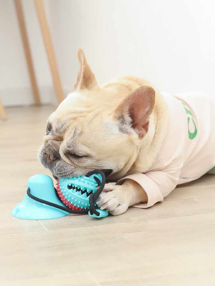 Dog Multifunction Floor Suction Cup Dog Toy Ball - Frenchiely