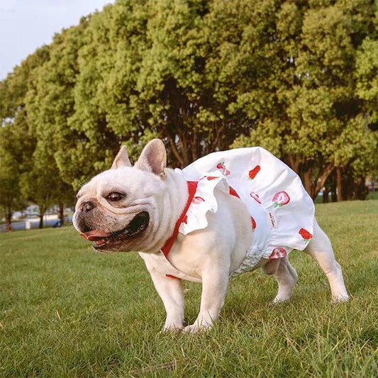 Dog Strawberry Dress Skirt for Medium Dogs - Frenchiely