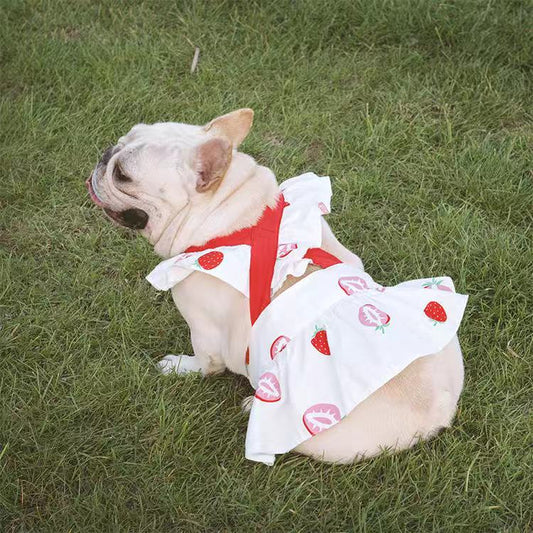 Dog Strawberry Dress Skirt for Medium Dogs - Frenchiely