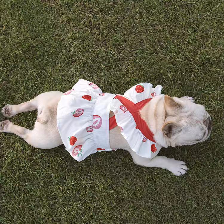 Dog Strawberry Dress Skirt for Medium Dogs - Frenchiely