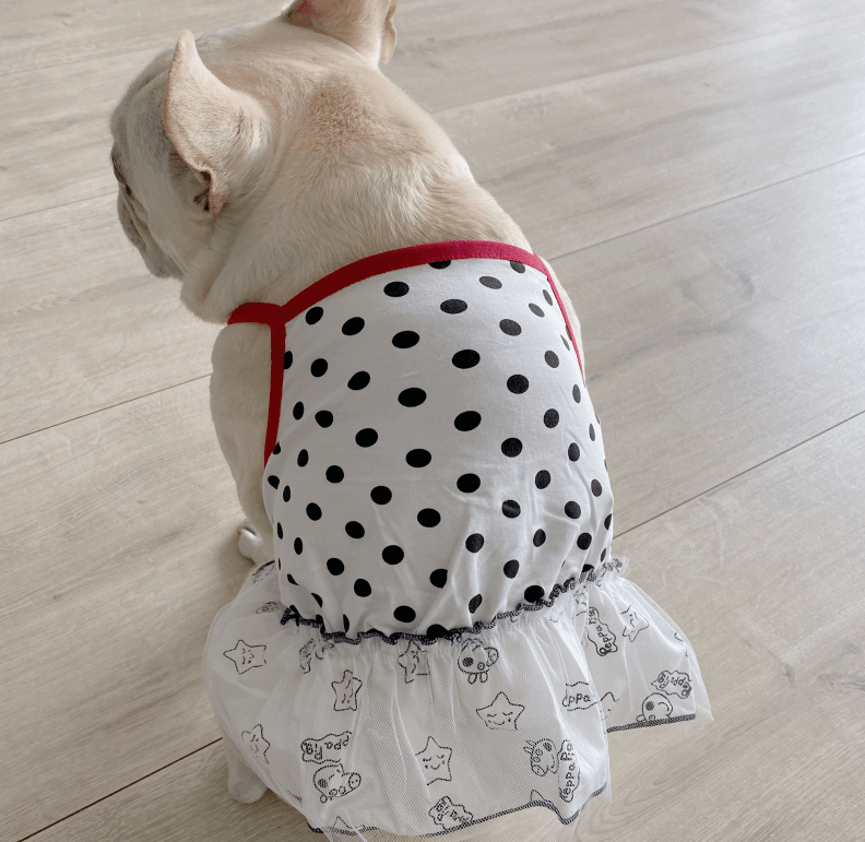 Dog Summer Dress for French Bulldogs Dog Clothes for Frenchies Frenchiely