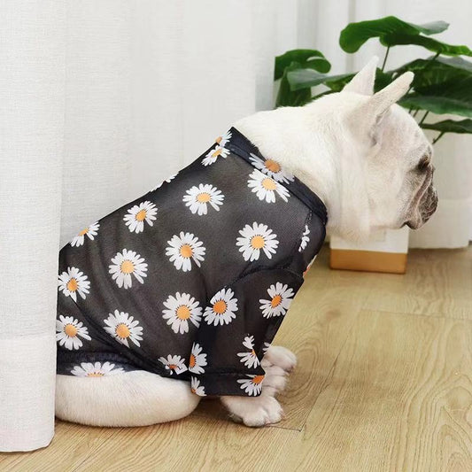 Daisy Sun Shield Shirt FrenchielyDogSummerSunScreenProtectionShirt-Daisy01_1228c776-f648-41db-a6e4-7bee9d260602