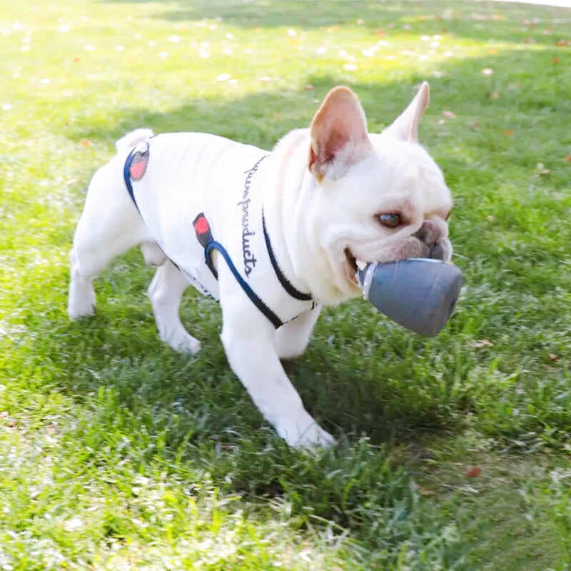 Dog Summer Sun Shield Shirt - Frenchiely