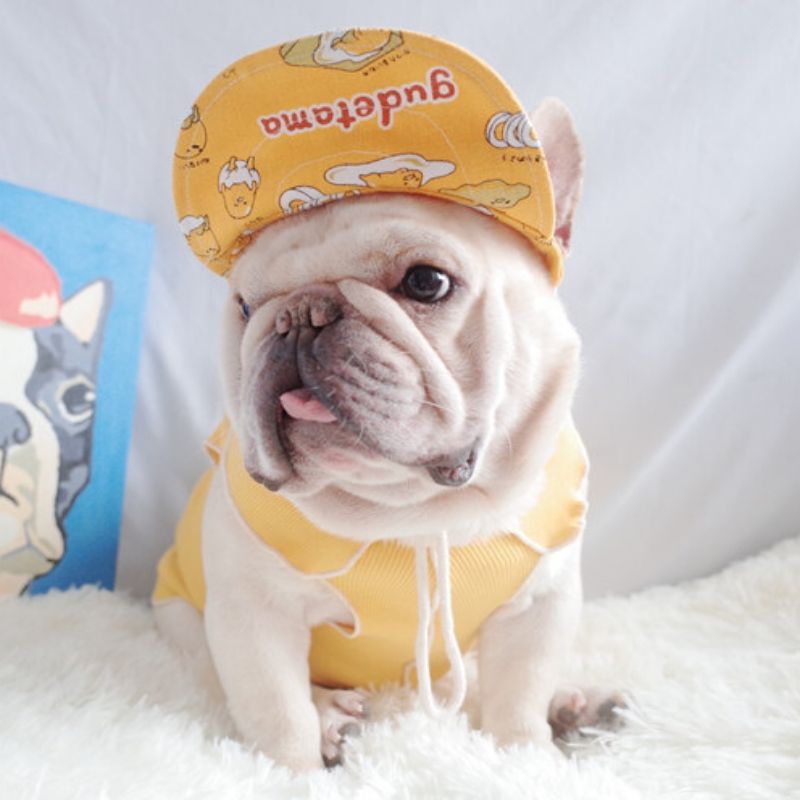 Cartoon Dog Sun Protective Hat for Frenchies - Frenchiely