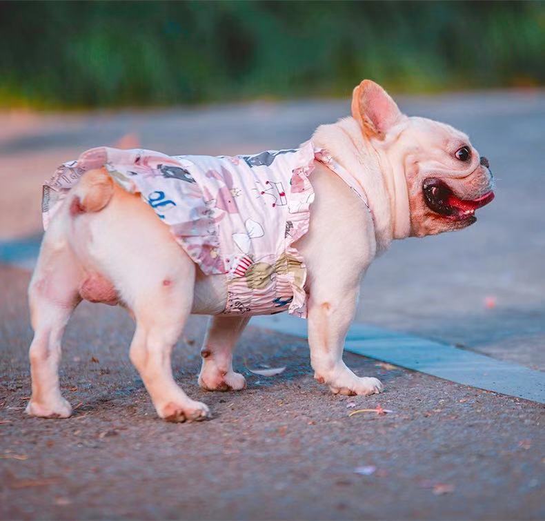 Female Dog Pink Summer Dress - Frenchiely