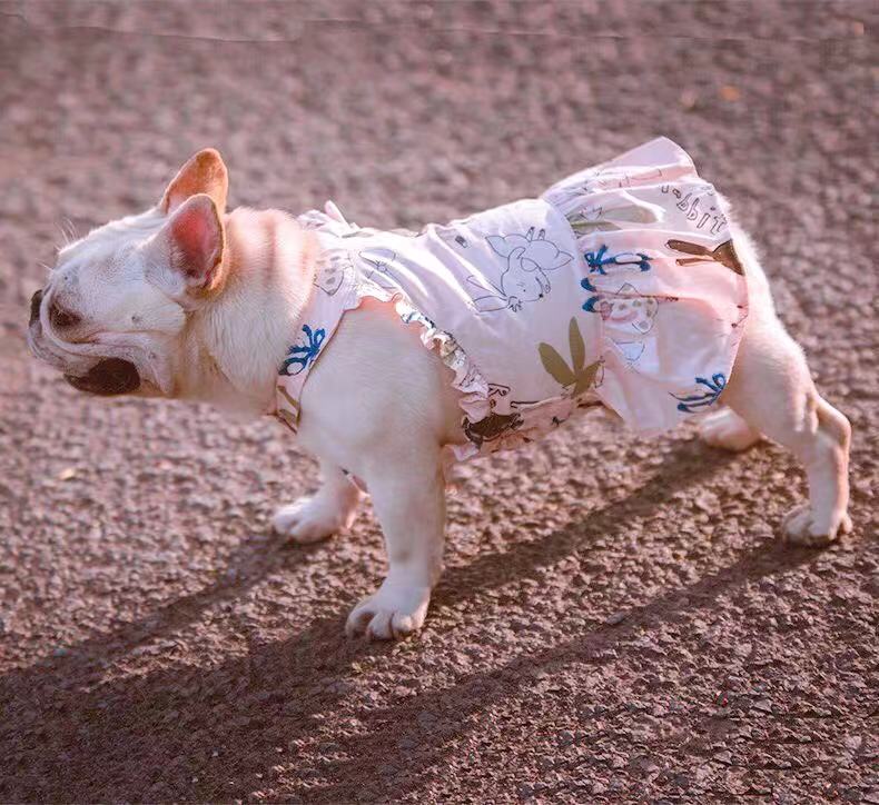 Female Dog Pink Summer Dress - Frenchiely