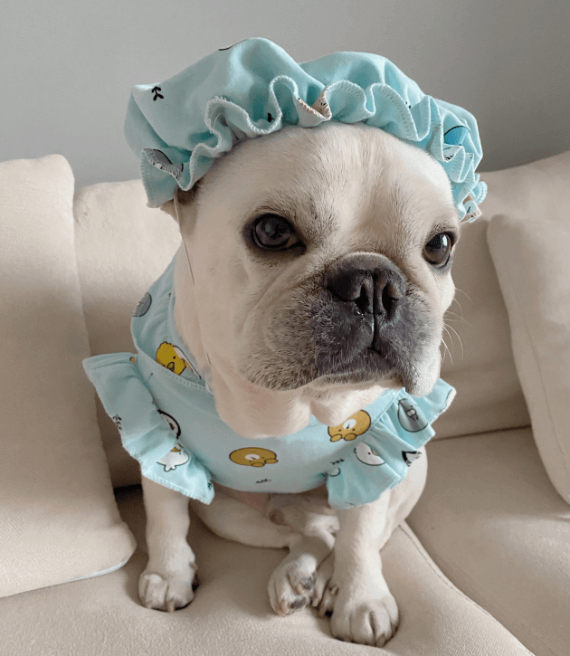 Frenchiely French Bulldog Pajamas PJs with Hat 1