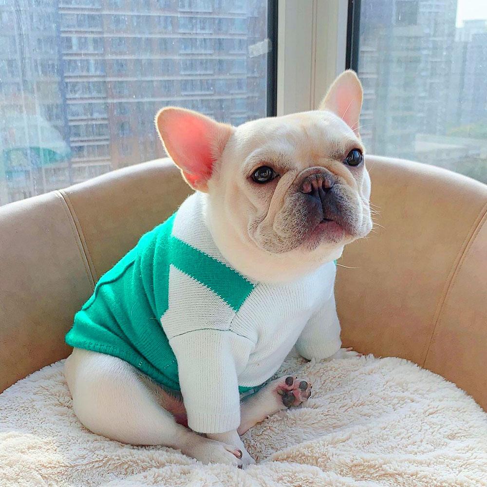 Funny Dog Sweater Starfucks Coffee - Frenchiely