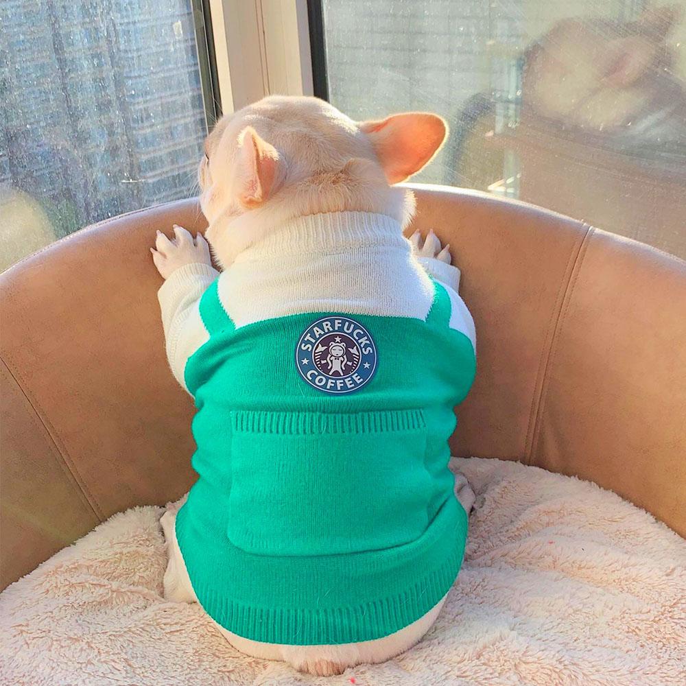 Funny Dog Sweater Starfucks Coffee - Frenchiely