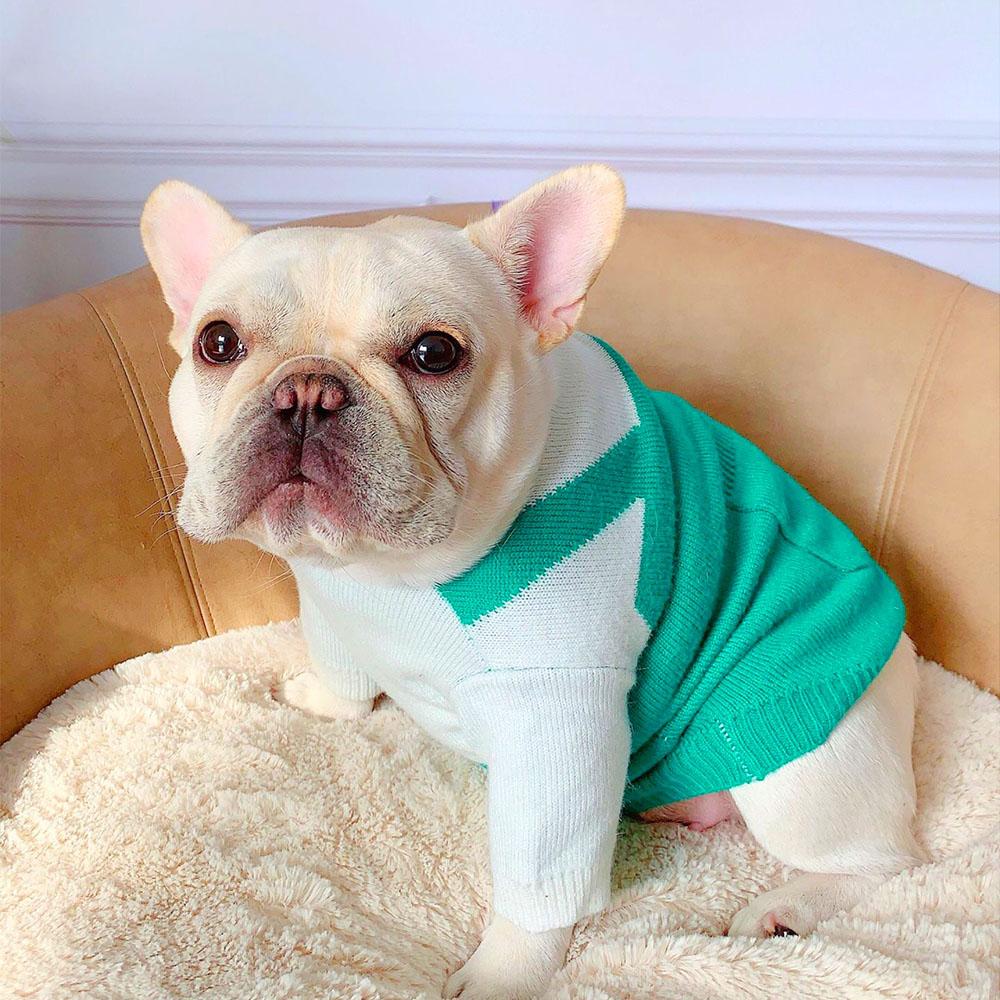 Funny Dog Sweater Starfucks Coffee - Frenchiely