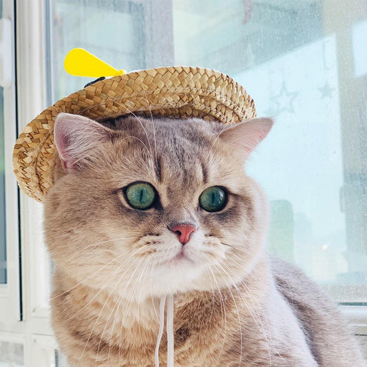 Dog Spinning Straw Hat for French Bulldog - Frenchiely