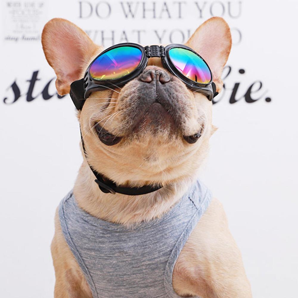 French Bulldog Sunglasses Dog Goggles - Frenchiely