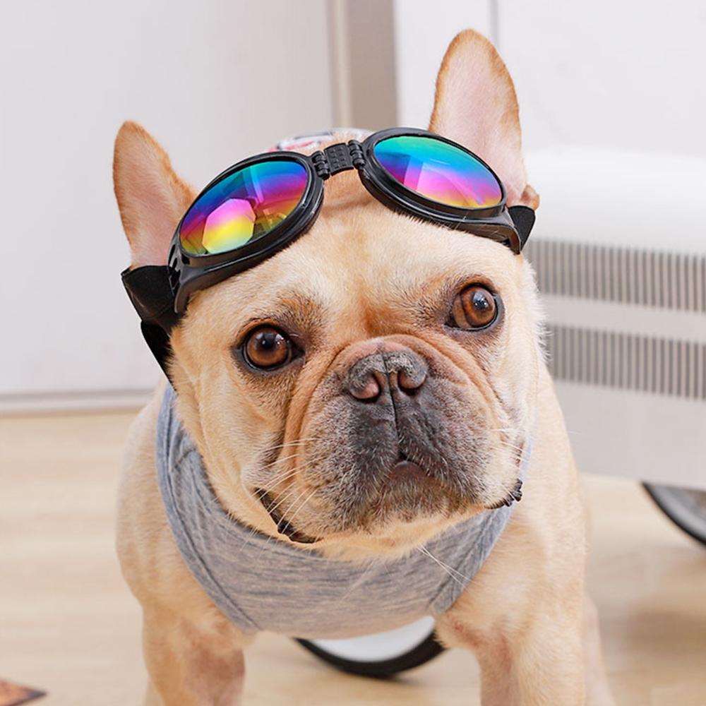 French Bulldog Sunglasses Dog Goggles - Frenchiely